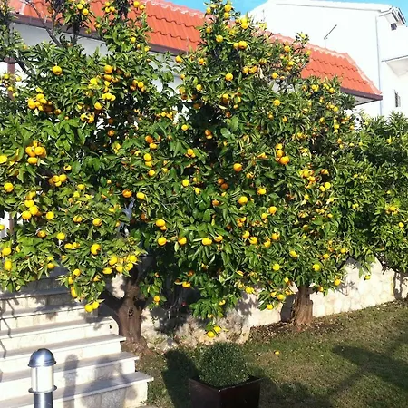 Old Olive, 3lovelyvillas Podgora