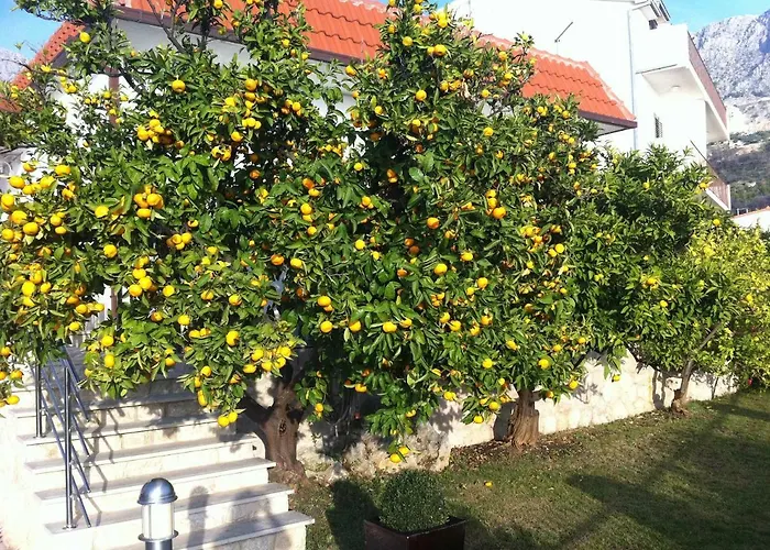 Old Olive, 3lovelyvillas פודגורה
