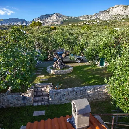 Old Olive, 3lovelyvillas *