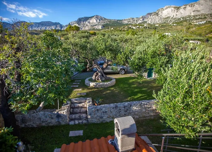 Old Olive, 3lovelyvillas *